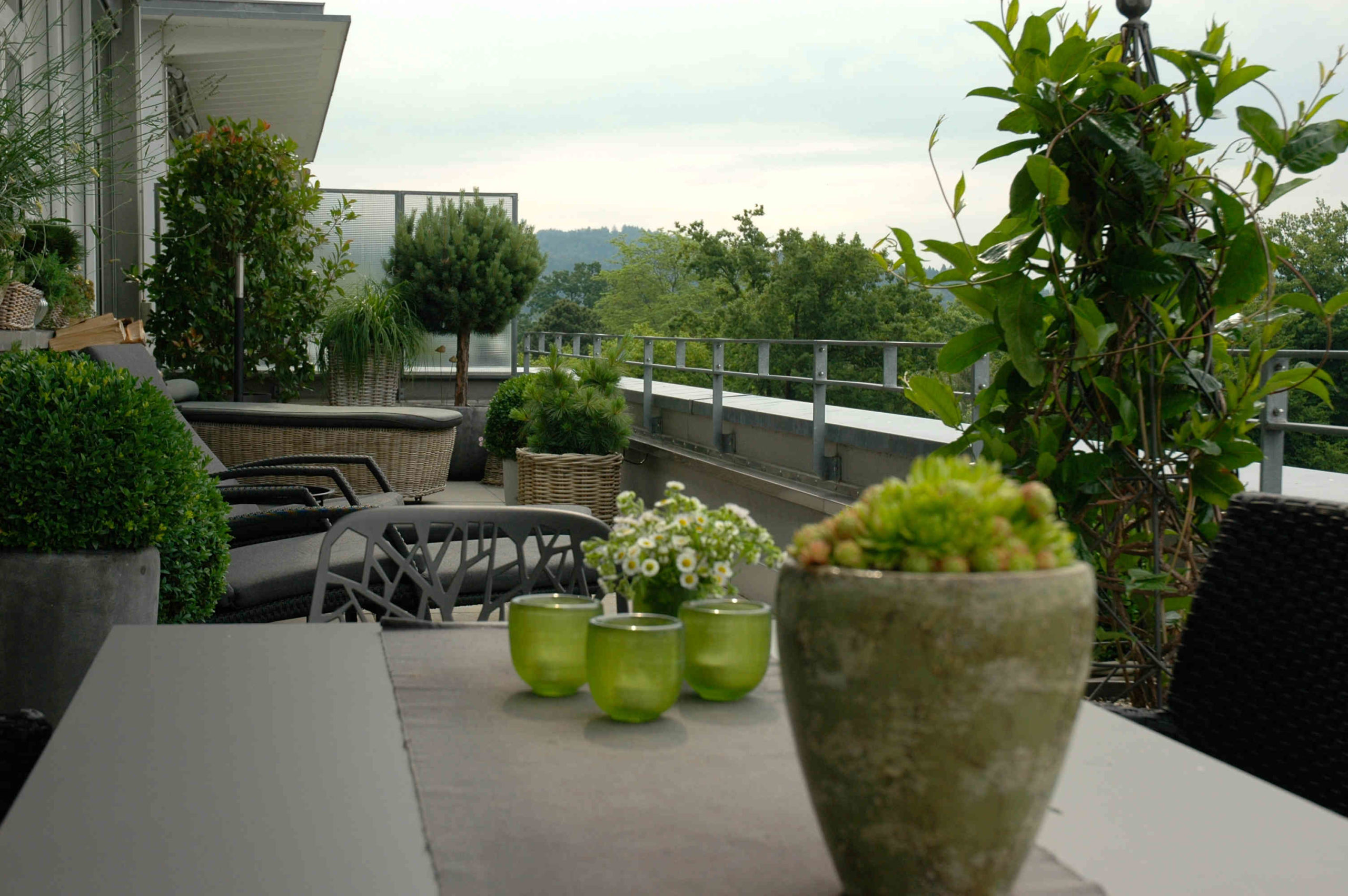 Terrasse, MFH, immergrün und pflegeleicht